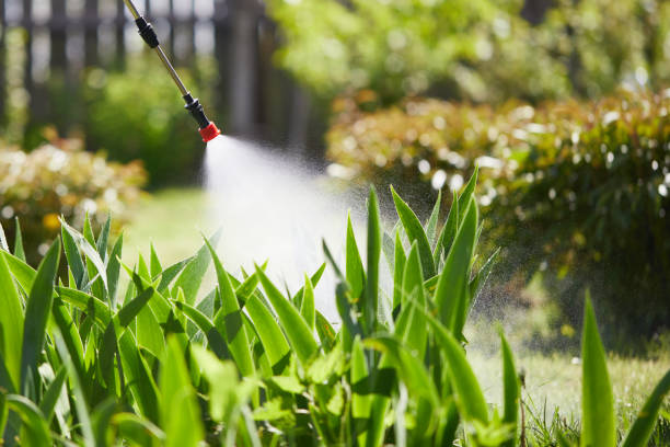 Tamper-Resistant Bait Stations for Rodents in Homestead Valley